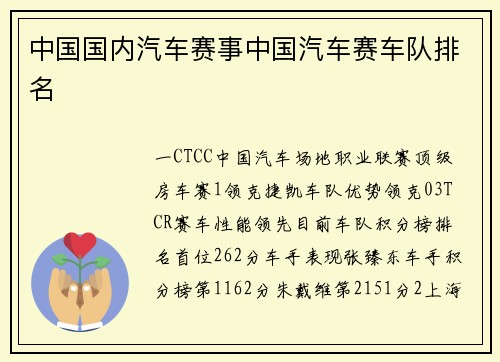 中国国内汽车赛事中国汽车赛车队排名